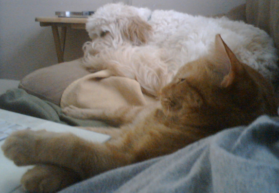 A moment of peace